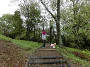 150414-10.jpg