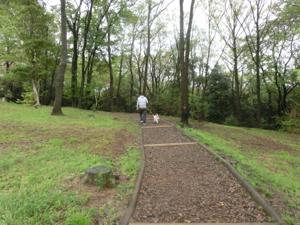 150414-11.jpg